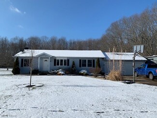1171 State Rd, Rock Creek, OH 44084
