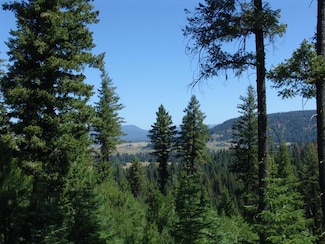 TBD Skunk Creek Rd, Cascade, ID 83611