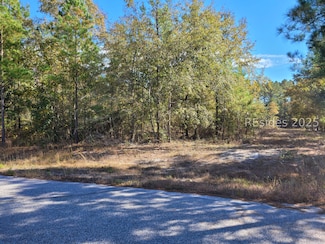 TBD Beavers Rd, Ridgeland, SC 29936