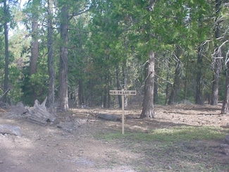 0 Beaver Ln Unit 22952730, Bonanza, OR 97623