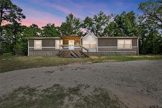 3801 County Road 4316, Larue, TX 75770