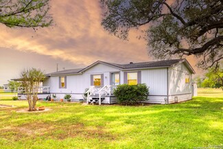 10545 Aliann Dr, Atascosa, TX 78002
