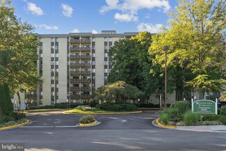 6001 Arlington Blvd Unit 324, Falls Church, VA 22044