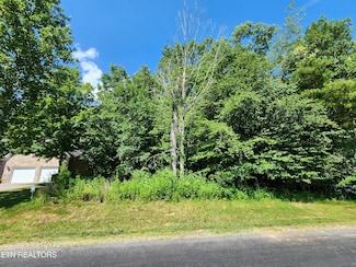 122 Golanvyi Trail, Vonore, TN 37885