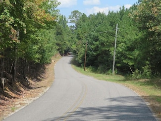 0 Roy Webb Cutoff Rd Unit 21711385, Piedmont, AL 36272
