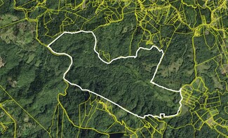 0 608 Bo Fronton Unit MFRPR9104971, Ciales, PR 00638