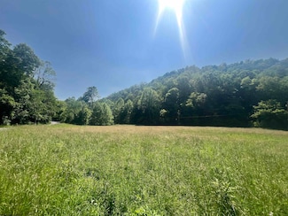 431 Big Elk Rd, Wallace, WV 26448