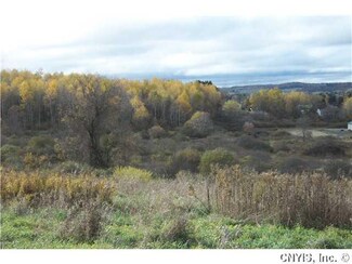0000 Route #215 and Starr Rd, Cortlandville, NY 13045
