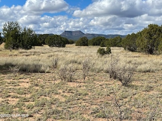 0 Honey Bee Ln Unit PAR1075105, Seligman, AZ 86337