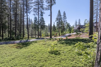 0 Vireo Way Unit 225068543, Avery, CA 95224