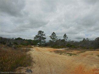 1710 N Crocus Rd, Avon Park, FL 33825