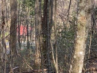 Lot 2 S Hwy 129 19 S, Blairsville, GA 30512