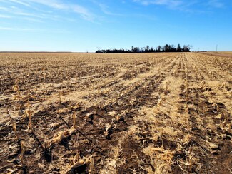 TBD County Road 33 W, Antelope Precinct, NE 69145