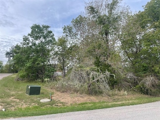 TBD N Forest Cove Dr, Coldspring, TX 77331