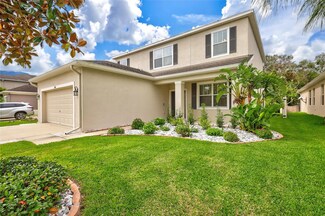 11403 Coventry Grove Cir, Lithia, FL 33547