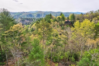 Lot 53 Community Hill Dr, Blue Ridge, GA 30513