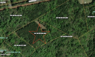 Tbd Ritter Rd, Ritter, SC 29488