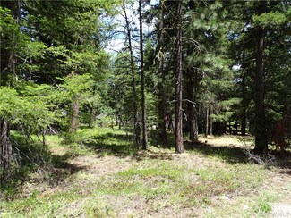 121 Maple Ln, Ronald, WA 98940
