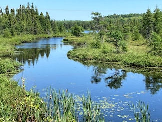 TBD Little Marais Rd, Finland, MN 55603