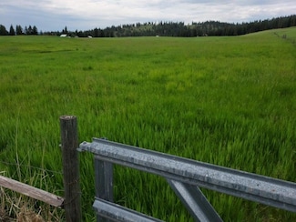 47 Old Ranch House Rd Unit Lot 2, Republic, WA 99166