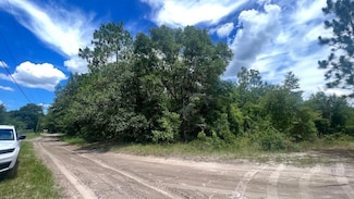 0 SW 156th Place Unit MFRS5119787, Dunnellon, FL 34432