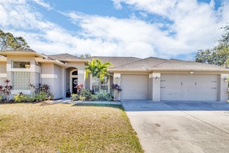 12028 Timberhill Dr, Riverview, FL 33569