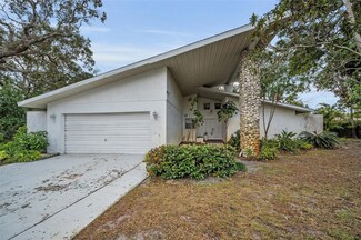 419 Wayfarer Ct, Tarpon Springs, FL 34689