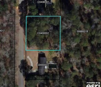 000 Loblolly Ln, Cairo, GA 39828