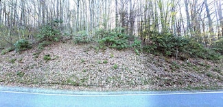 0 Buckeye Lake Rd, Banner Elk, NC 28622