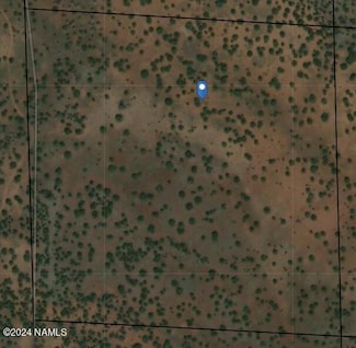 0000 Apn 205-07-006, Williams, AZ 86046
