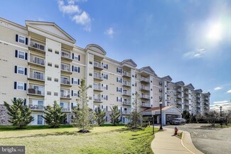 6301 Edsall Rd Unit 306, Alexandria, VA 22312