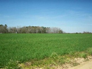 Lot 2 Highway 51, Pamplico, SC 29583