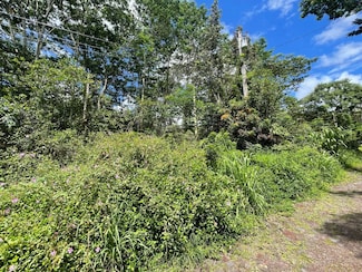 0 King Kamehameha Blvd Unit 702639, Kurtistown, HI 96760