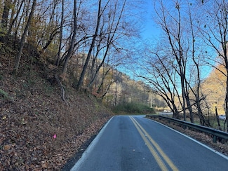 0 Oilville St Unit 22409728, Omar, WV 25638