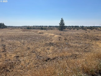 0 Blk 27 26bickleton Hwy, Roosevelt, WA 99356