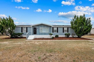 4970 High Branch Ct, Stedman, NC 28391