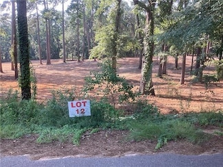 0 Ln Unit 2486976, Boyce, LA 71409
