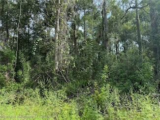 230 Pigeon Ave, Sebring, FL 33870
