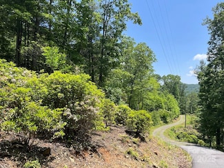 0000 Humpback Mountain Rd, Spruce Pine, NC 28777