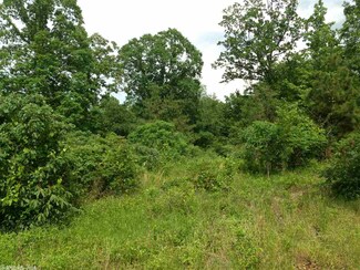 335 Marge Rd, Plumerville, AR 72127