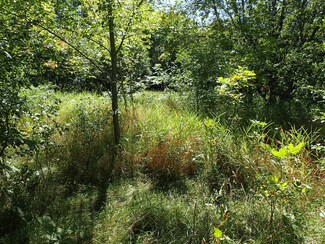 XXX 65th St SW, Howard Lake, MN 55349