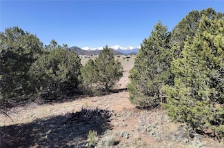 0 18th Trail, Cotopaxi, CO 81223