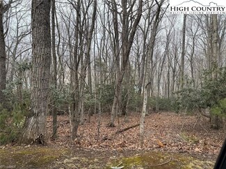 TBD Laurel Ln, Jefferson, NC 28668