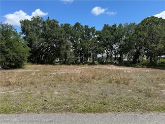 125 Dardanella Ave, Lake Placid, FL 33852