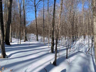 1412 Andover Club Dr Unit 10, Pleasantview Township, MI 49740