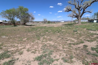 1418 Balsam St, Cortez, CO 81321