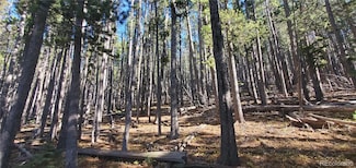 Lot 2682 & 2683 Purnell Ln Unit 2682,2683, Fort Garland, CO 81133
