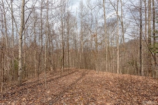 Lot 62 Pilot Knob Rd, Glenville, NC 28736