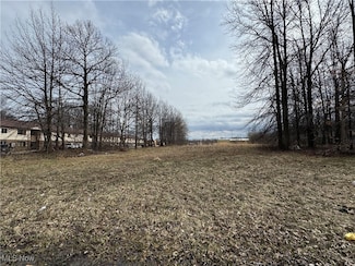 0 Michigan Ave, Ashtabula, OH 44004
