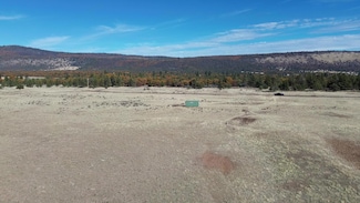 644-881 Sunset Ln, McArthur, CA 96056